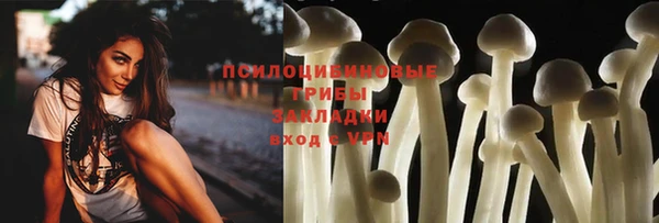 кокс Алзамай