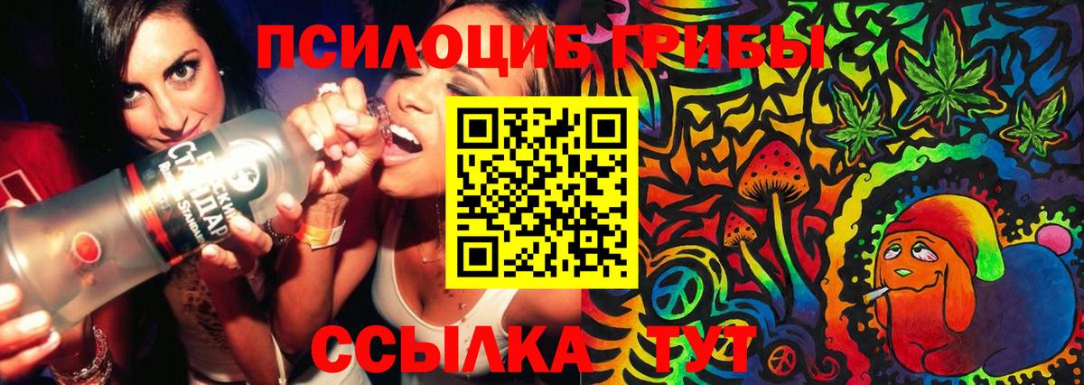 Псилоцибиновые грибы Psilocybine cubensis  Вход с VPN  Кольчугино  Галлюциногенные грибы ЛСД 